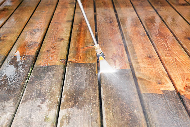 Best Local Pressure Washing Services  in Richmond West, FL